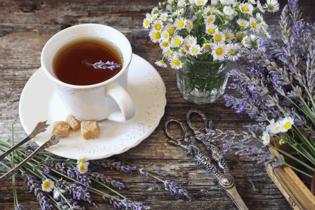 Chamomile Lavender tea Photo Credit Canva Pro Stock Image