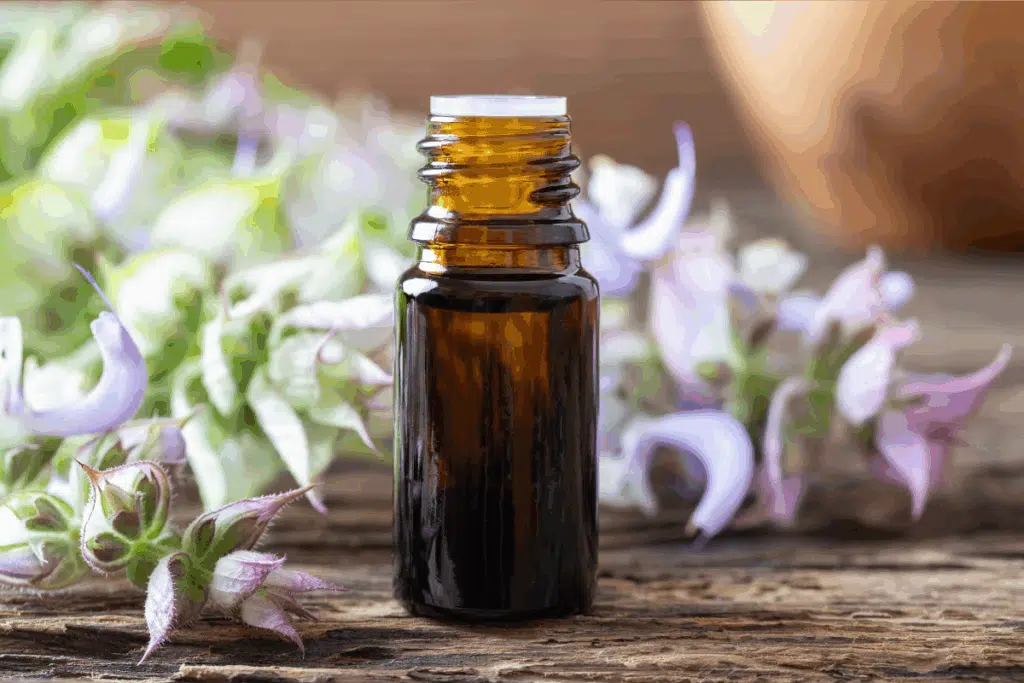 Clary Sage Photo Credit Canva Pro Stock Image