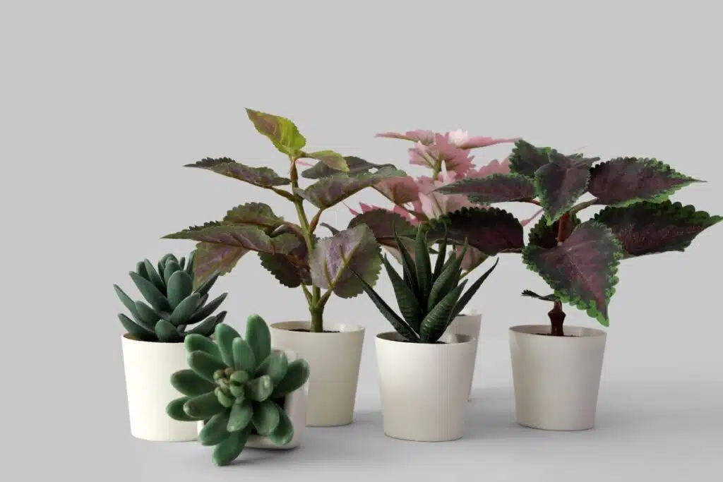Fake Plants Photo Credit Canva pro Stock Image