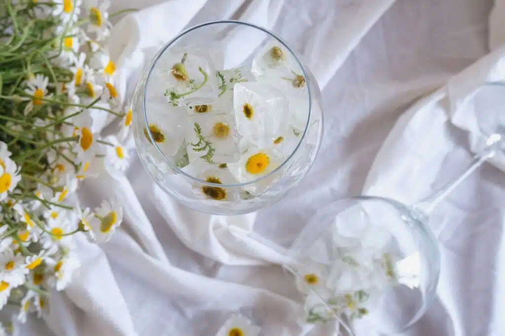 Herb Ice Cubes Credit Canva Pro Stock Image