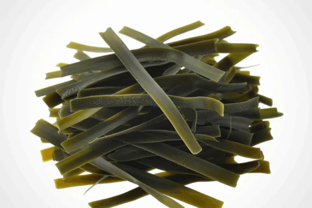 Kelp noodles Photo Credit Canva Pro Stock Image