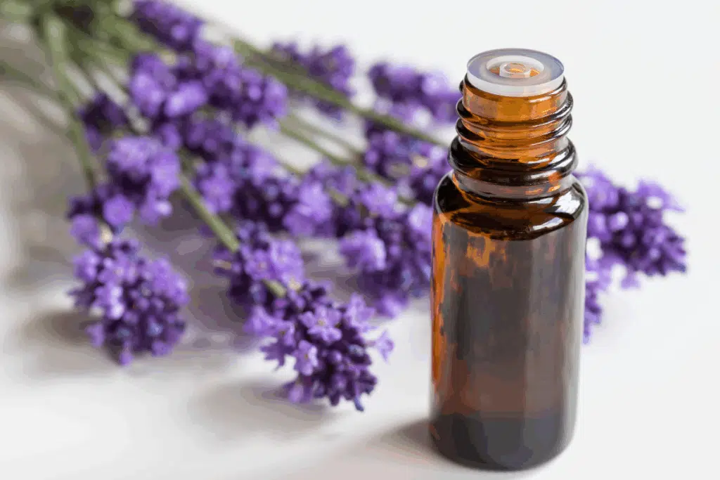 Lavendar Photo Credit Canva Pro Stock Image