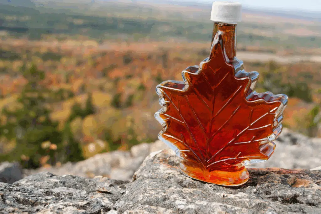 Maple Syrup Photo Credit Canva Pro Stock Image