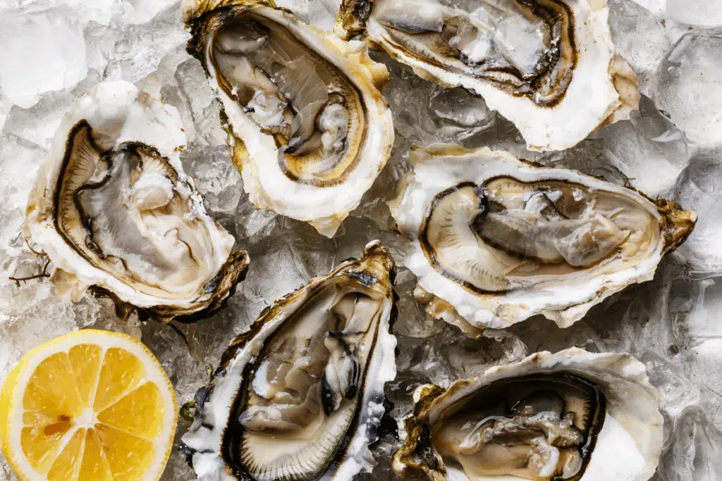 Oysters Photo Credit Canva Pro Stock Image