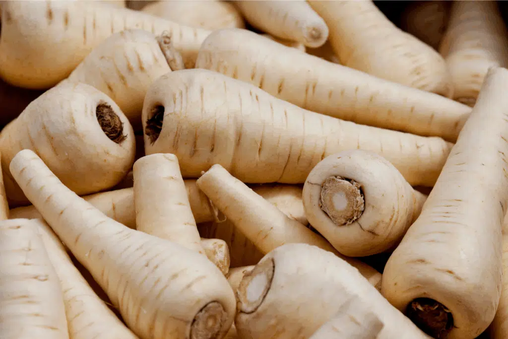 Parsnips Photo Credit Canva pro Stock Image