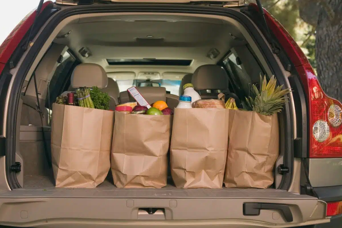 Picking up groceries Photo Credit Canva Pro Stock Image