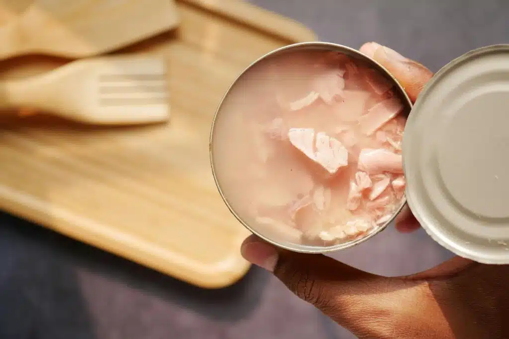 canned tuna Photo Credit Canva Pro Stock Image