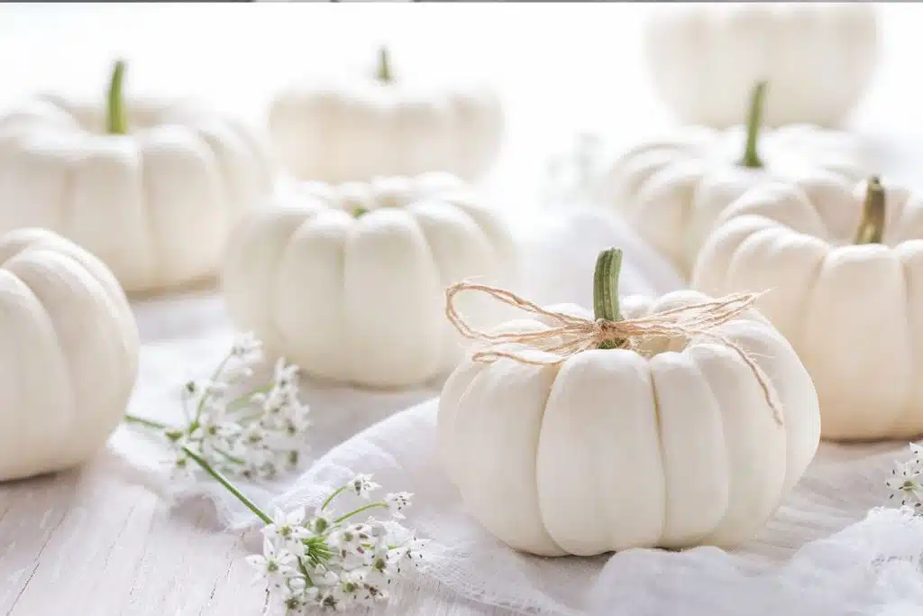 decorative pumpkins Photo Credit Canva Pro Stock Image