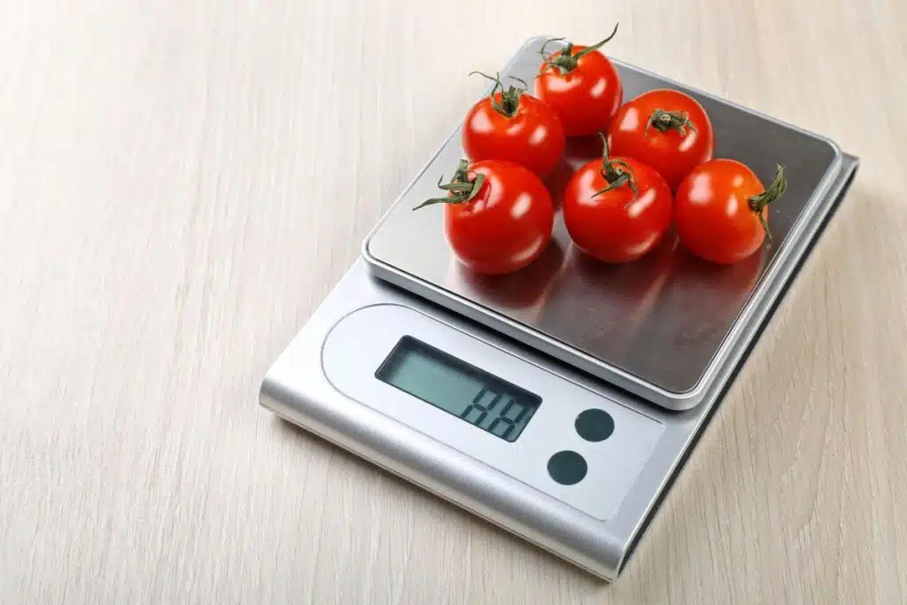 food scale Photo Credit Canva Pro Stock Image