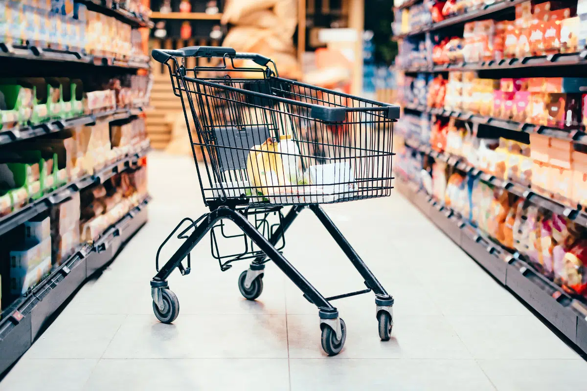 grocery cart level Photo Credit Canva Pro Stock Image