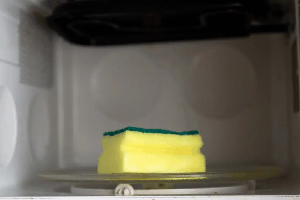 kitchen sponge microwave Photo Credit Canva Pro Stock Image