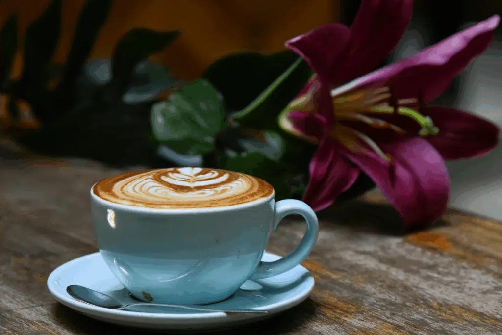 mocha latte Photo Credit Canva Pro Stock Image