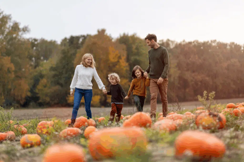 pumpkin patch Photo Credit Canva Pro Stock Image