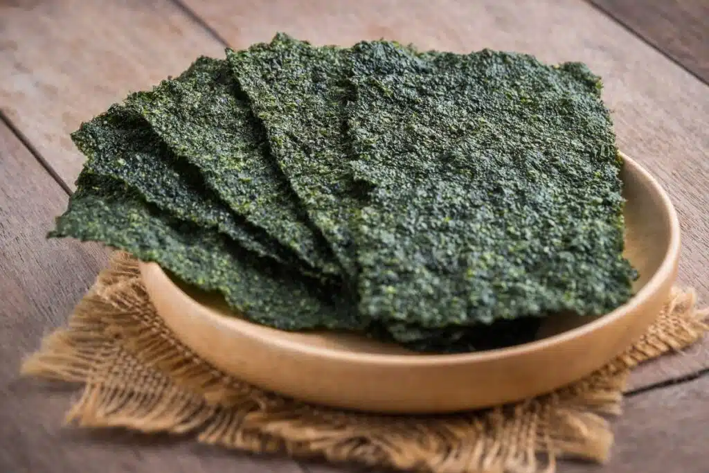 seaweed Photo Credit Canva Pro Stock Image