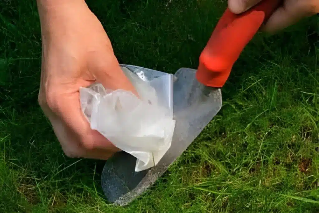 Tools and Wax Paper Photo Credit Home Making