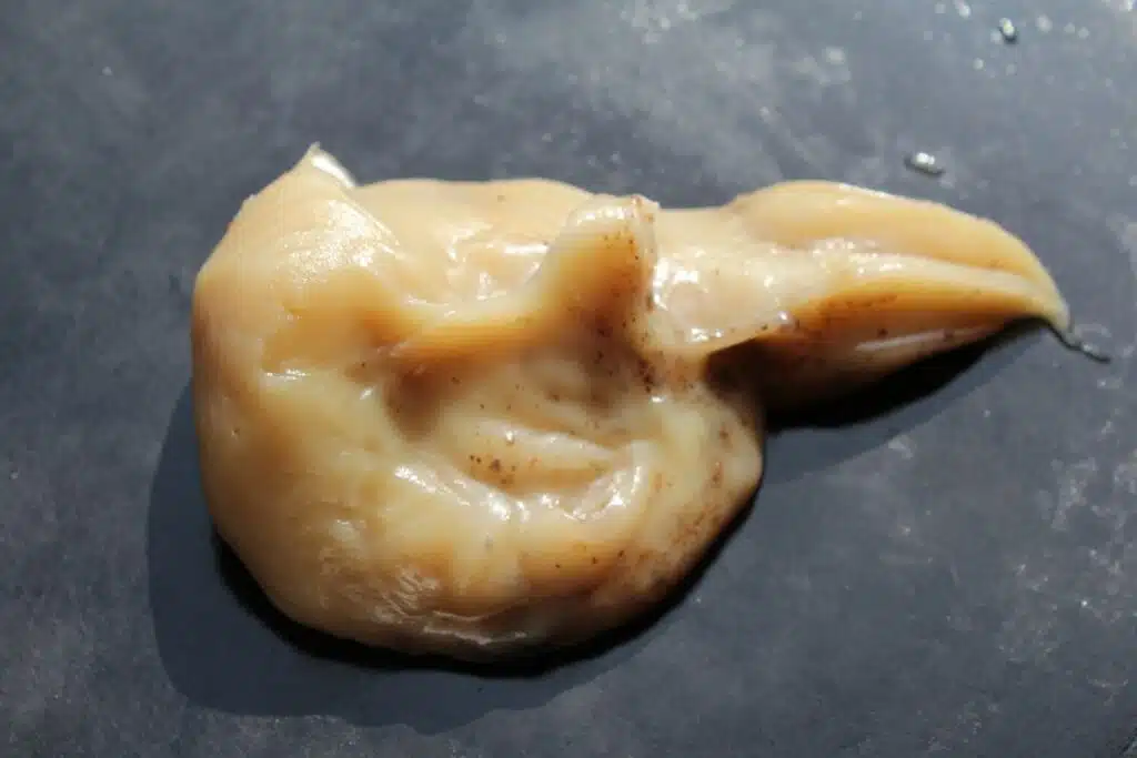 bacon grease Photo Credit Canva Pro Stock Image