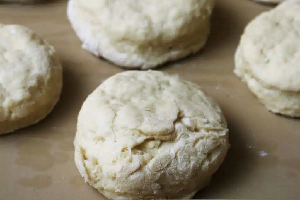 frozen biscuit dough Photo Credit Canva Pro Stock Image