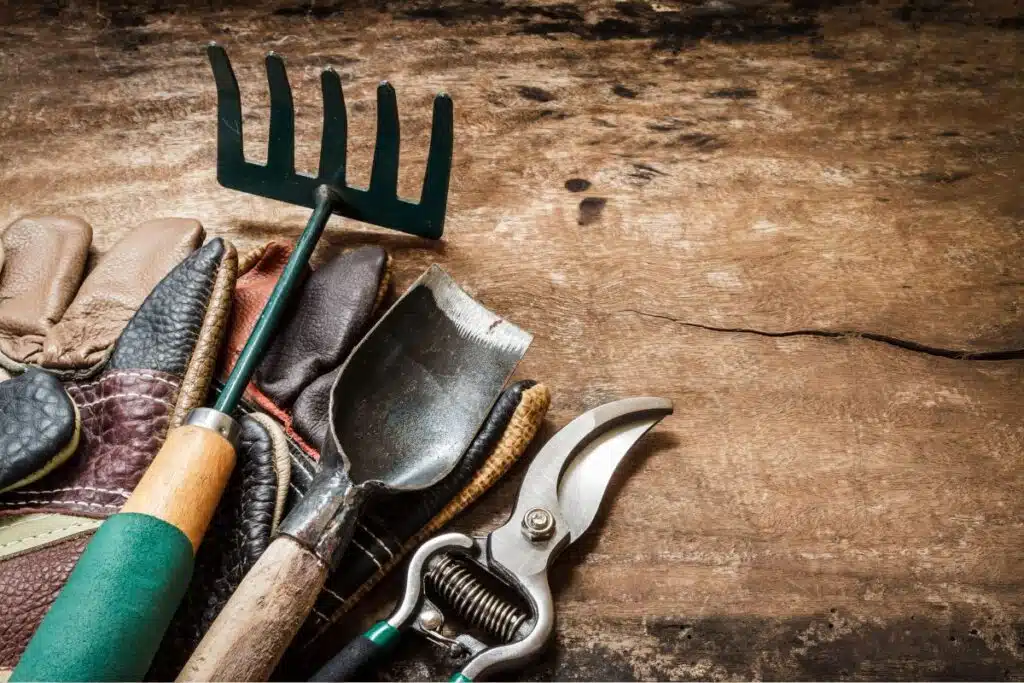 garden tools Photo Credit Canva Pro Stock Image