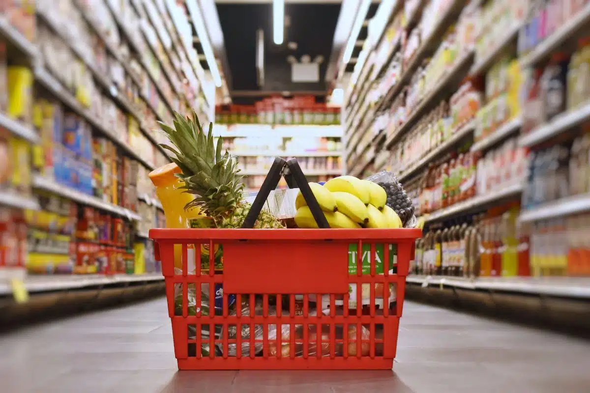 groceries in basket Photo Credit Canva Pro Stock Image