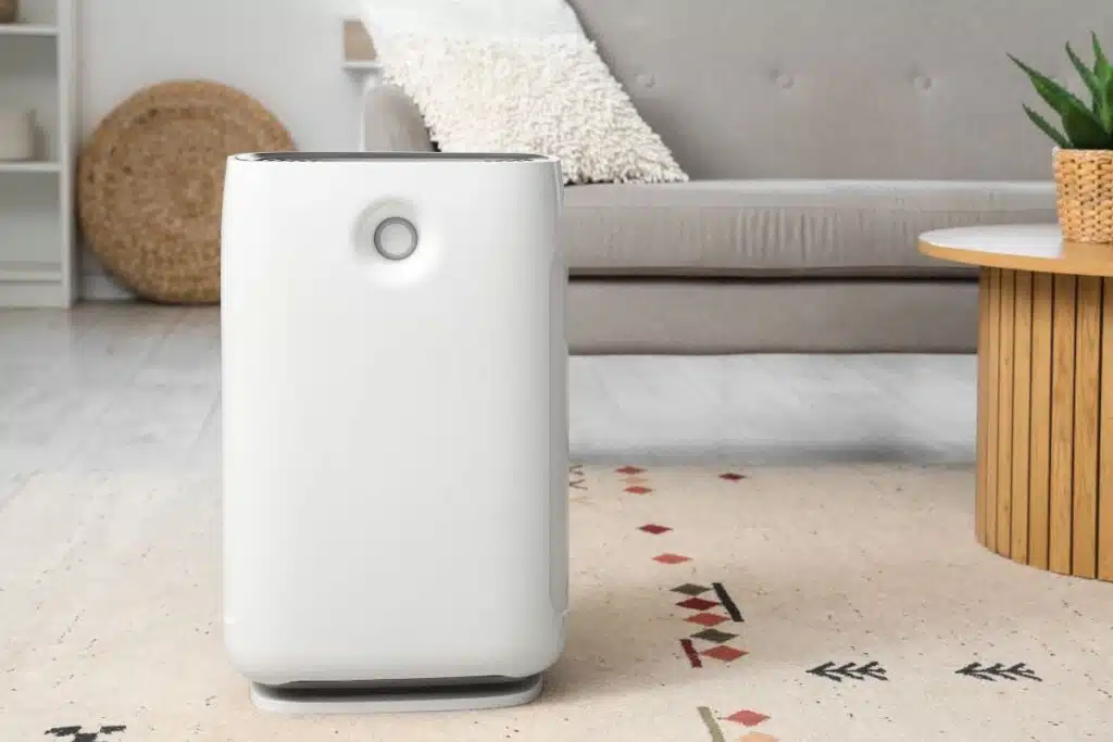 humidifier Photo Credit Canva Pro Stock Image