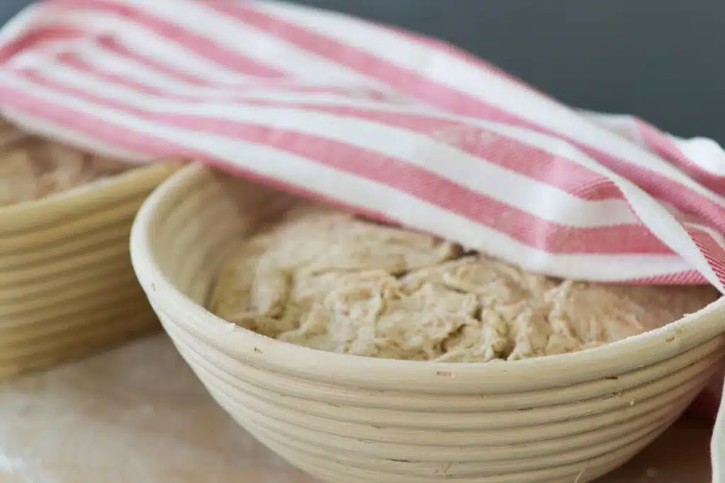 rising dough Photo Credit Canva Pro Stock Image