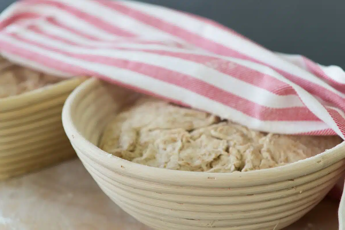 rising dough Photo Credit Canva Pro Stock Image