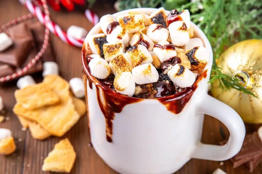 smores Mug Cake Photo Credit Canva Pro Stock Image