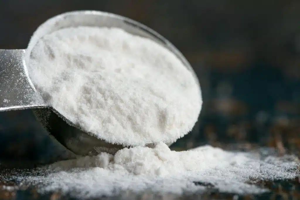 Arrowroot Photo Credit Canva Pro Stock Image