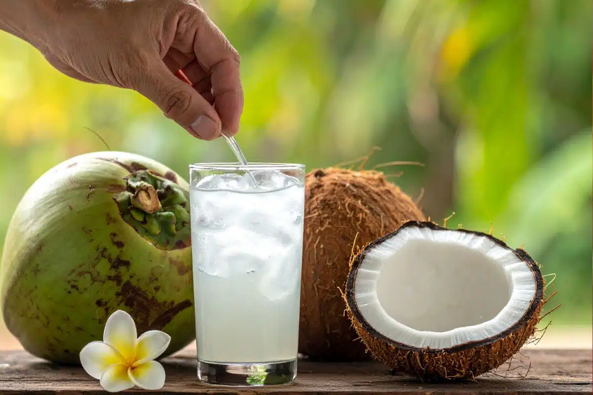 Coconut Water Photo Credit Canva Pro Stock Image