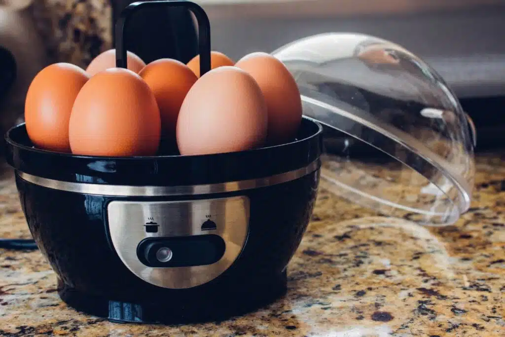 Egg Cooker Photo Credit Canva Pro Stock Image