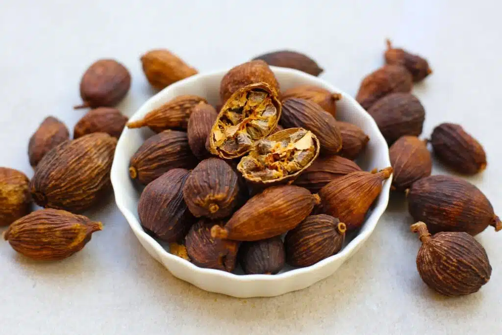 cardamon photo Credit Canva Pro Stock Image