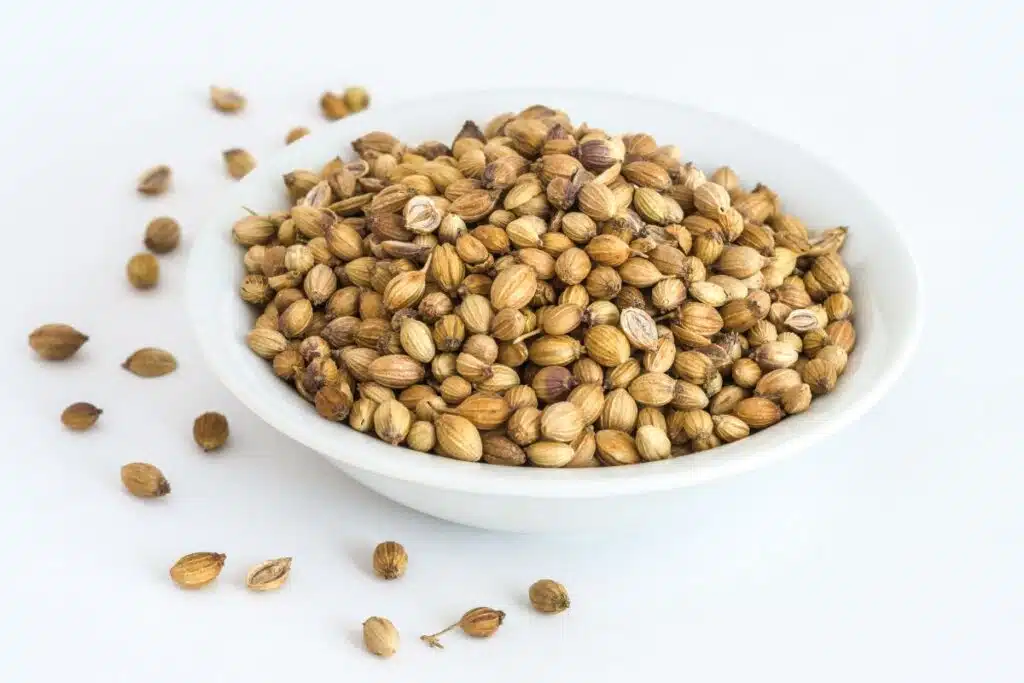 coriander photo Credit Canva Pro Stock Image