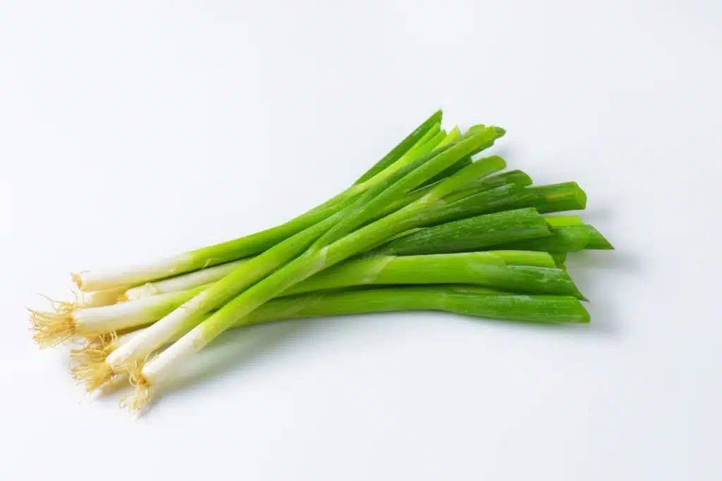 green onions photo Credit Canva Pro Stock Image