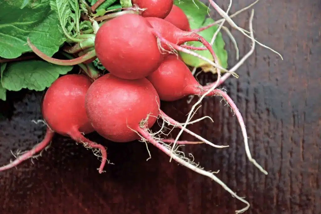 radish photo Credit Canva Pro Stock Image