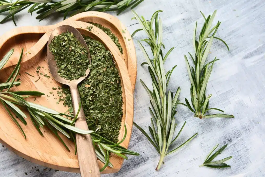 rosemary photo Credit Canva Pro Stock Image