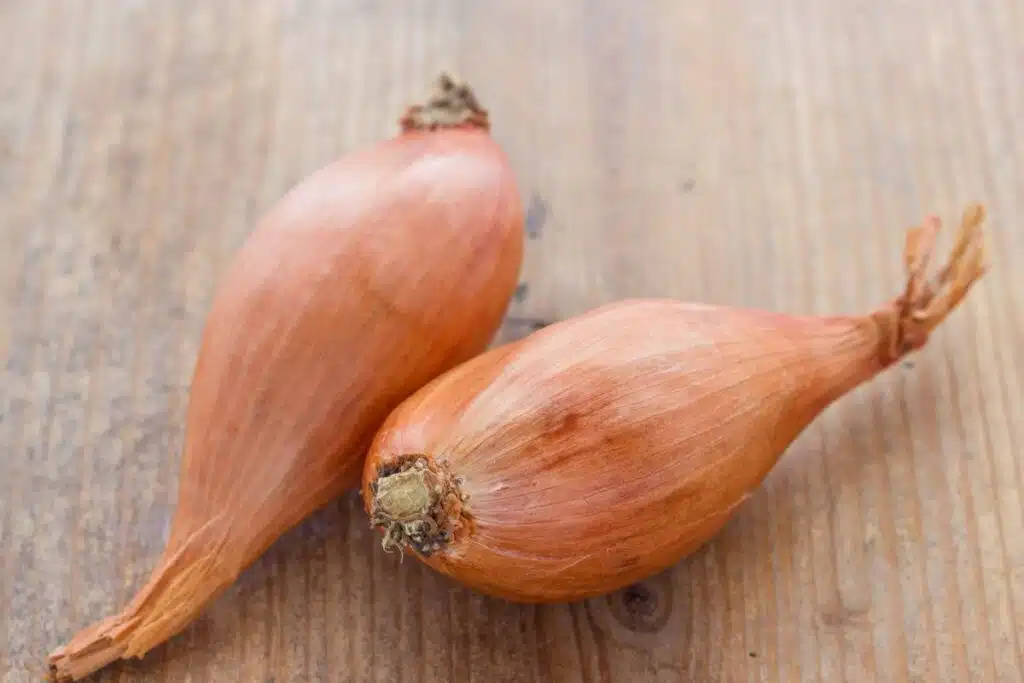 shallots photo Credit Canva Pro Stock Image