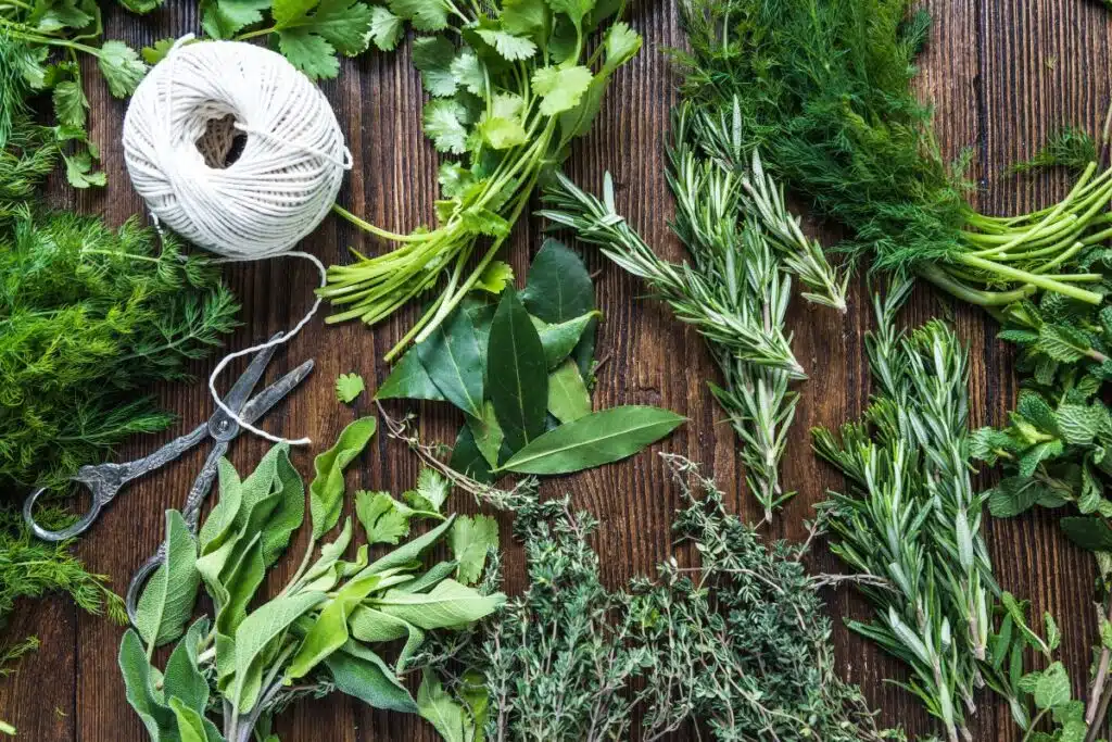 washing herbs Photo Credit Canva Pro Stock Image
