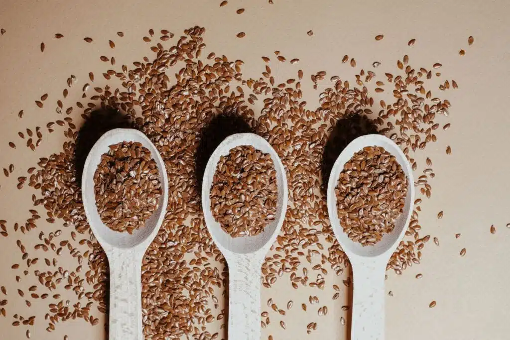 Flaxseed Photo Credit Canva Pro Stock Image