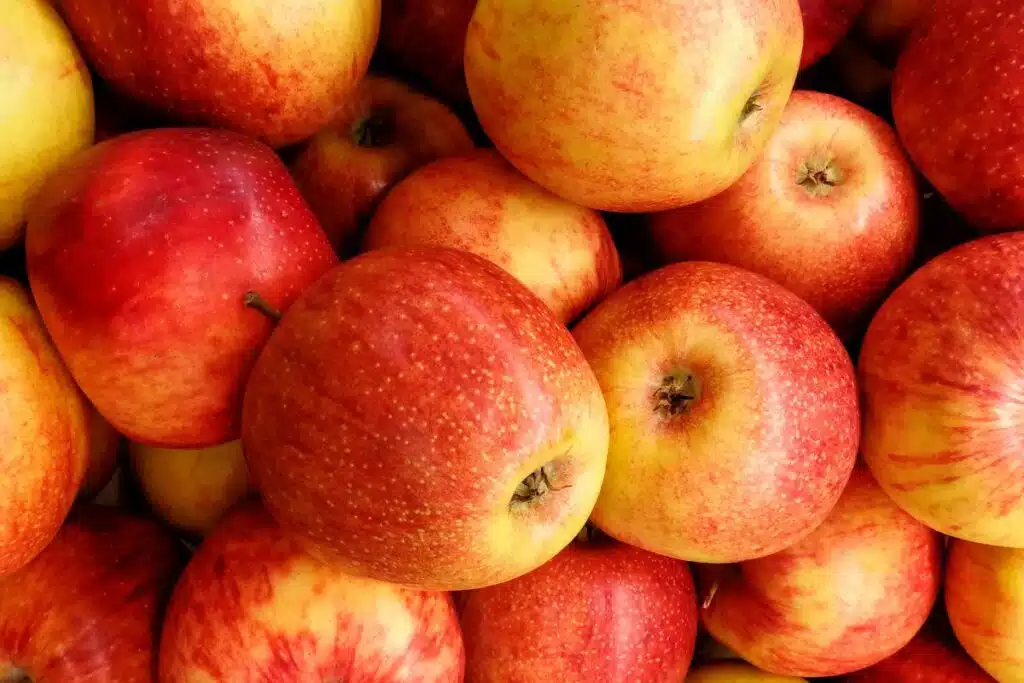 Apples Photo Credit Canva Pro Stock Image