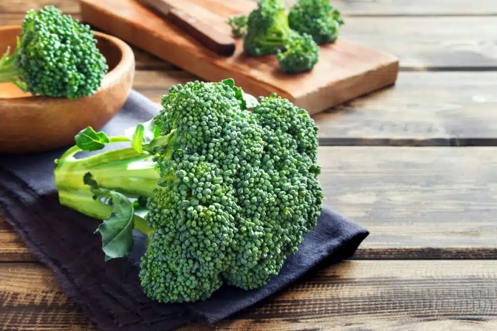 Broccoli Photo Credit Canva Pro Stock Image