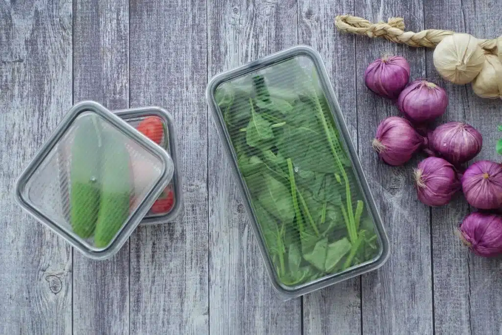 vegetable in container Photo Credit Canva Pro Stock Image