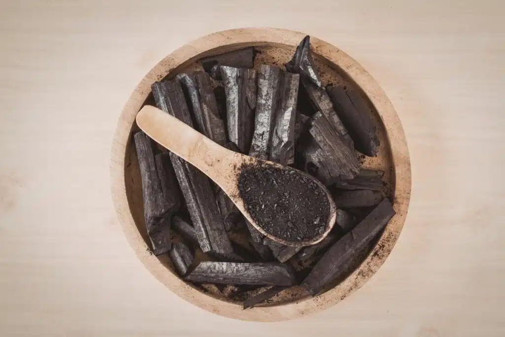 Activated Charcoal Photo Credit Canva Pro Stock Image
