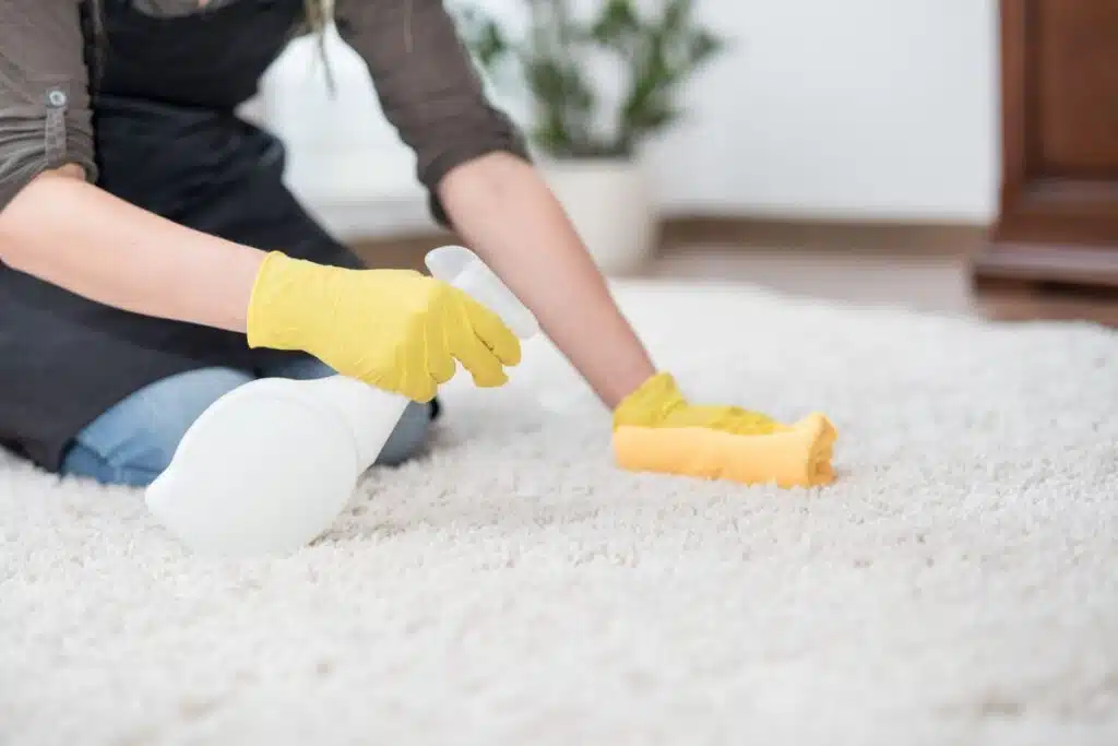 Cleaning Carpet Photo Credit Canva Pro Stock Image