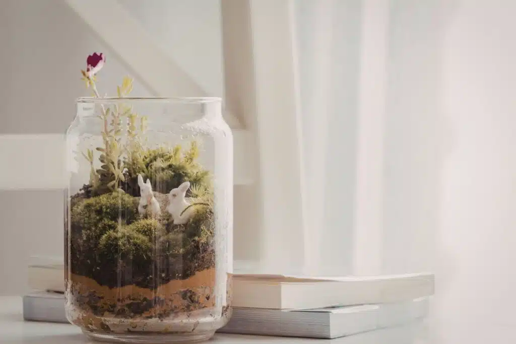 DIY Terrariums Photo Credit Canva Pro Stock Image