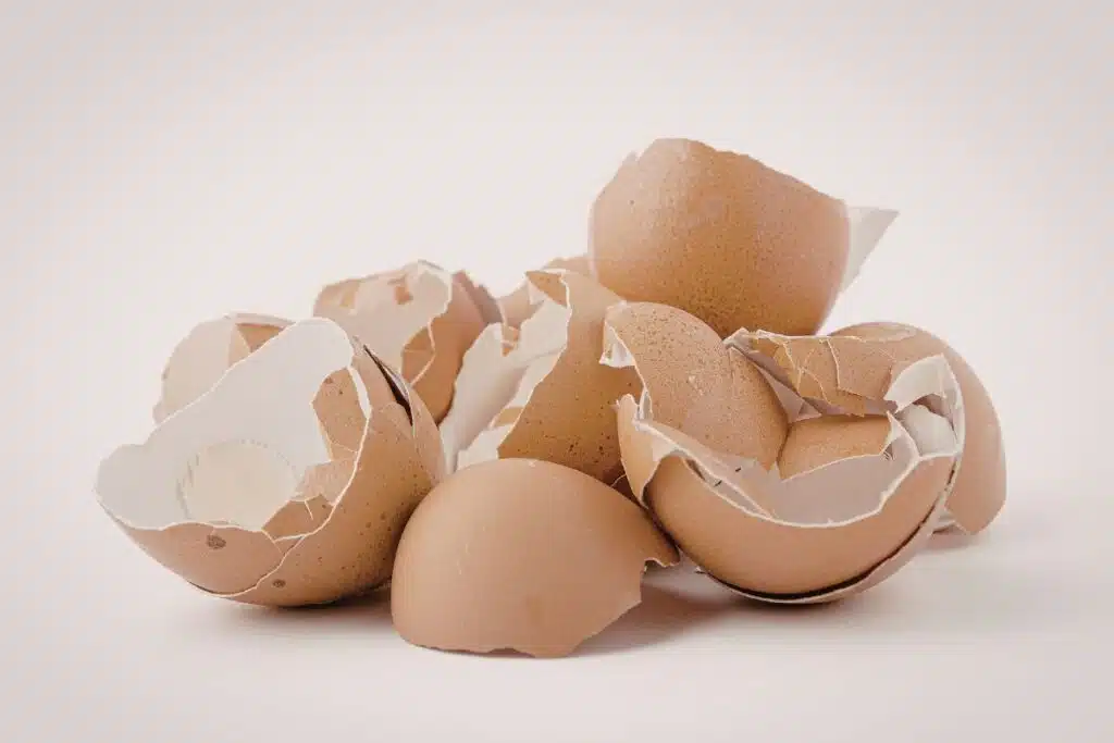 Egg Shells Photo Credit Canva Pro Stock Image