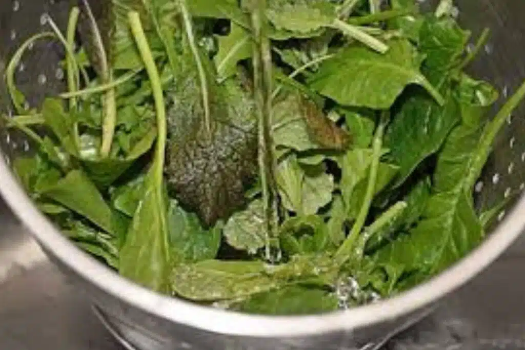 Salad Spoiled Photo Credit Foodal