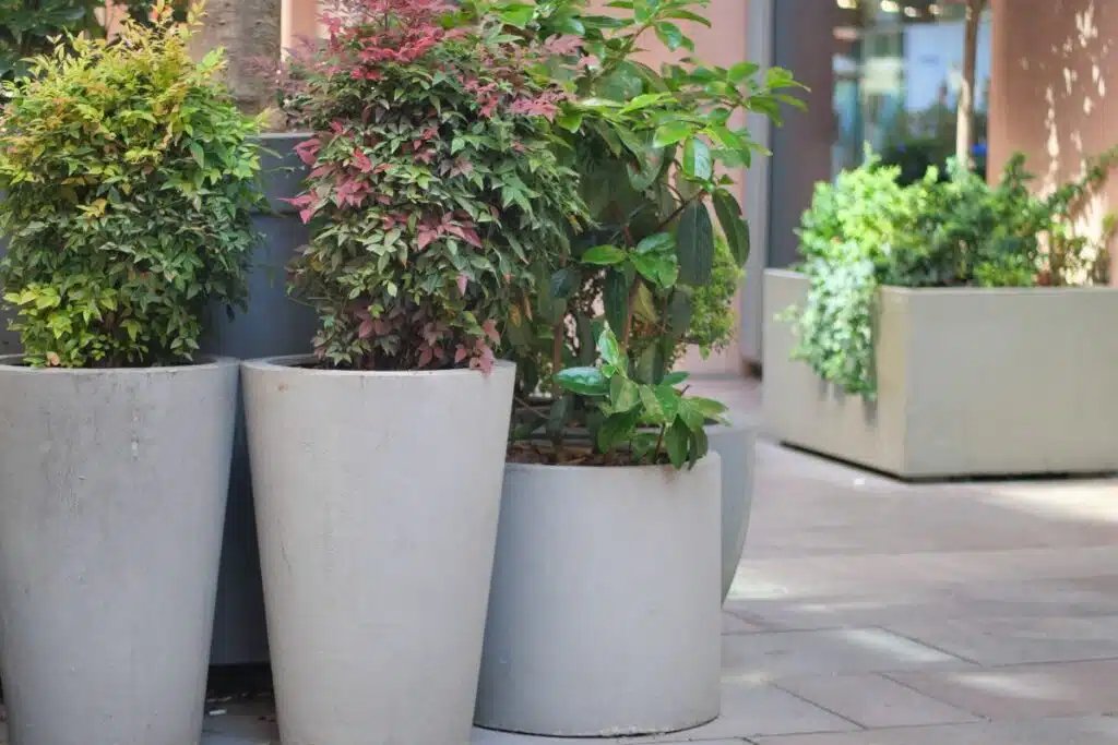 outdoor planters Photo Credit Canva Pro Stock Image