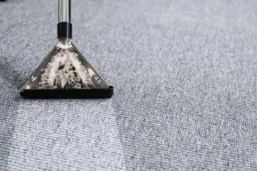 rug Cleaning Carpet Photo Credit Canva Pro Stock Image