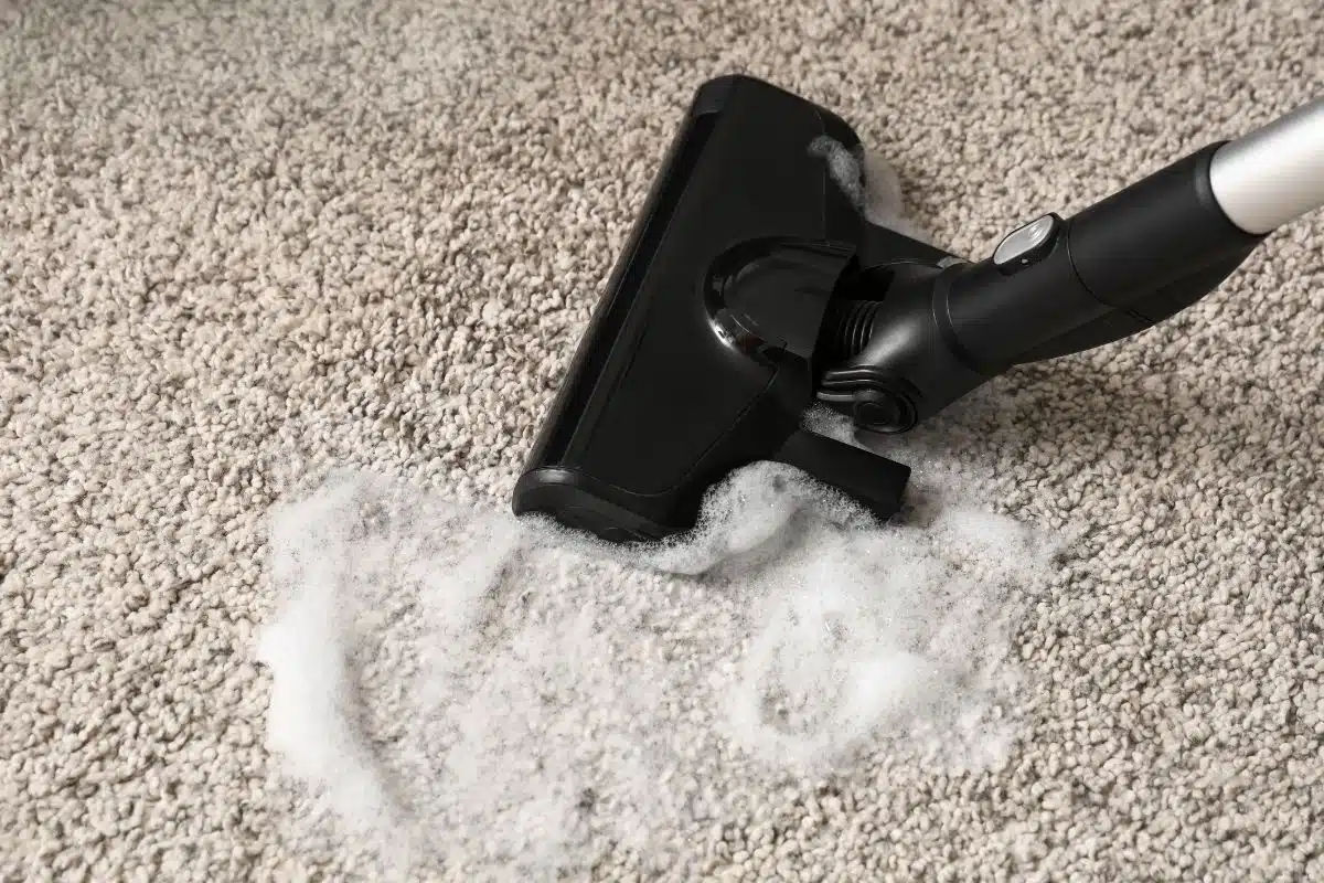 wet Cleaning Carpet Photo Credit Canva Pro Stock Image