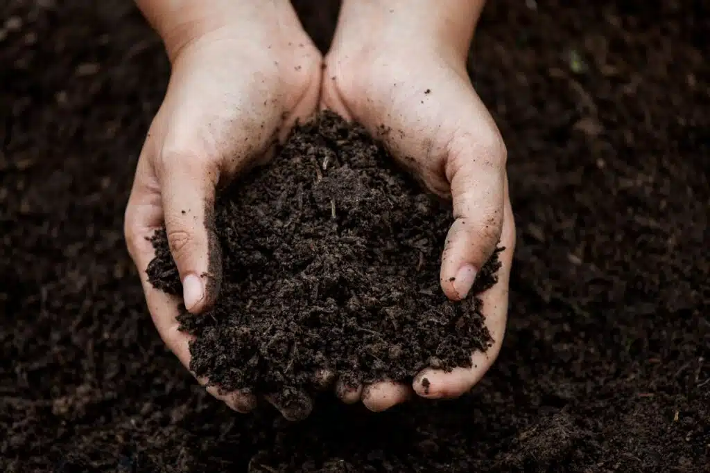 Compost dirt Photo Credit Canva Pro Stock Image
